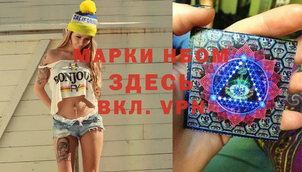 гидропоника Алзамай