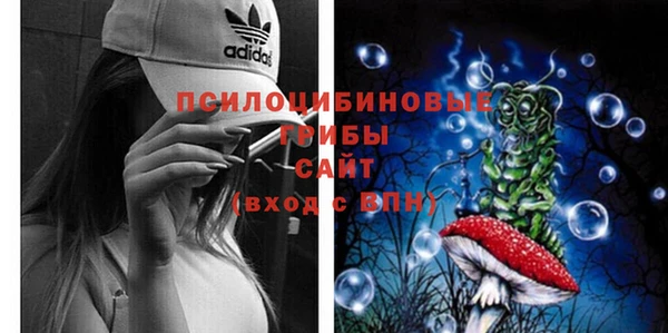 гидропоника Алзамай