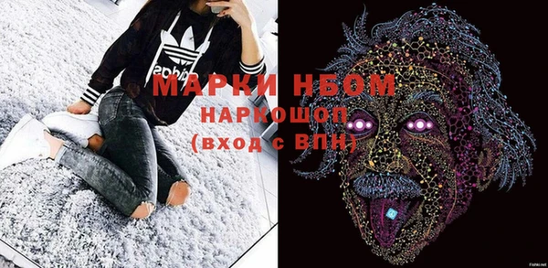 гидропоника Алзамай