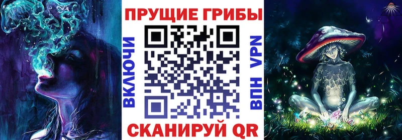 Галлюциногенные грибы Cubensis  Серов 